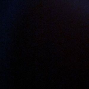 Meet your Posher, Dylan